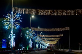 بلدية مدينة أبوظبي تزين الطريق المؤدية لمهرجان الشيخ زايد في الوثبة بتشكيلات ومجسمات مضيئة 