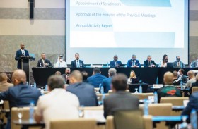 دولي الفنون القتالية المختلطة يمنح الإمارات العضوية الكاملة