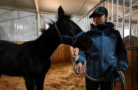 الصين تقدم أول جواد مستنسخ