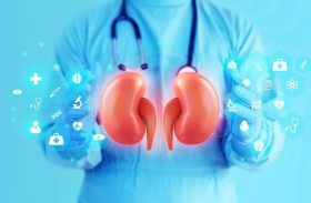 هل أصبحنا أقرب إلى بناء كلية اصطناعية؟