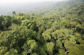 فقد لمدة 18 يوما.. وعند العثور عليه خسر صديقه الوفي