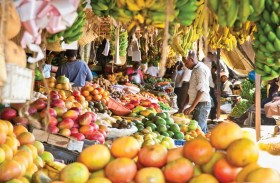 نظم الأغذية الزراعية المستدامة ضمن أولويات أسبوع الغذاء والزراعة وسبل العيش في إكسبو 2020 دبي