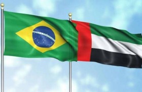 الإمارات والبرازيل.. رؤى مشتركة تدعم أجندة عمل مجموعة العشرين