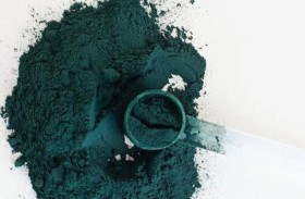 منتج مصنوع من الطحالب.. لصحة رواد الفضاء