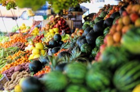 التغير المناخي والبيئة تسجل زيادة في حجم مبيعات المنتجات الزراعية المحلية