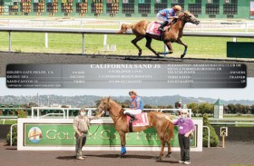 «كاليفورنيا ساند» تحلق بلقب «جولدن جيت» ضمن مهرجان منصور بن زايد للخيول