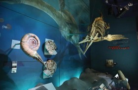 مراكز هيئة البيئة والمحميات الطبيعية تستقبل نحو 25 ألف زائر بين الأول والخامس من ديسمبر الجاري