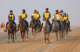 مطارا أبو ظبي ودبي يستعدان لنقل 140 خيلاً من جميع أنحاء العالم للمشاركة فى مونديال القدرة