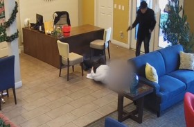 مسن يطلق النار على عامل 