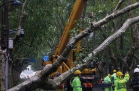  سقوط خط كهرباء يودي بحياة شخصين