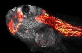 تقنية جديدة تستخدم الذكاء الاصطناعي في تعديل الجينات 