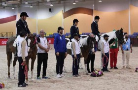 نجاح كبير للدورة التدربيبة على المنصة الافتراضية  للفروسية بمشاركة إماراتية  و6 دول عربية 