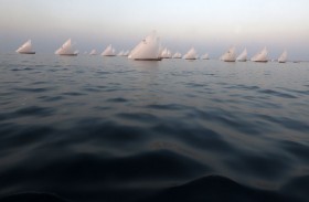 تأجيل سباق القفال الثلاثين إلى العام المقبل