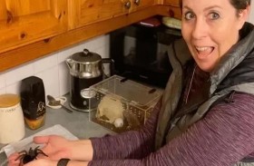 تربي 32 عنكبوتاً ضخماً لمواجهة خوفها من العناكب