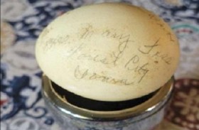 العثور على بيضة سليمة عمرها 70 عاما