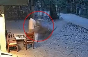 نمر يهاجم رجلاً أثناء عمله ويسحبه خارج المكان 