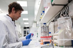 علماء يكتشفون منبع الموت الأسود قاتل الملايين