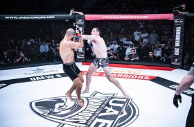  20 مقاتلا تجاوزوا الفحوص الطبية بنجاح وأعلنوا جاهزيتهم للنزالات 