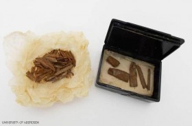 هرم خوفو وعلبة السيجار.. باحثة مصرية تروي قصة الكشف المثير