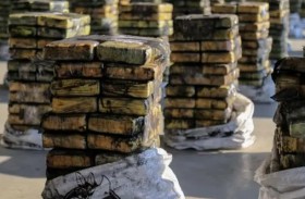 ضبط شحنة مخدرات بملايين الدولارات 