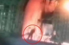 ألقى بنفسه داخل فرن فولاذ.. والكاميرا ترصد اللحظة الرهيبة