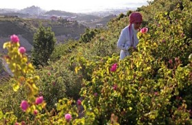 عاصمة الورد في لبنان ضحية للأزمة الاقتصادية