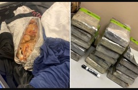 كوكايين داخل جمبري مجمد بالمطار 