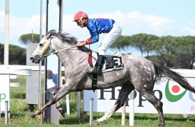 كأس فاطمة بنت مبارك للخيول  العربية تنطلق اليوم في بلجيكا