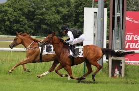الزاركا تحرز كأس الوثبة للخيول العربية في بلجيكا