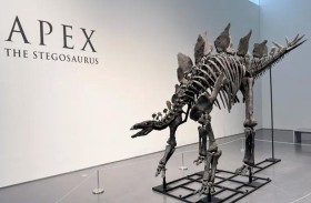 بيع حفرية ديناصور بسعر خيالي