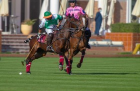 «هيسكث استيتشس 9» يقسو على «الباشا» بثمانية أهداف 