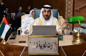 الإمارات تشارك في أعمال الدورة الوزارية غير عادية للمجلس الاقتصادي العربي