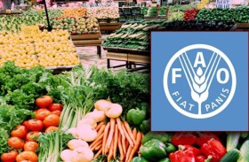 الفاو: استقرار أسعار الغذاء العالمية في مارس 
