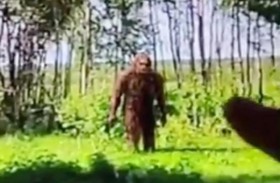 البيغ فوت.. كشف مثير عن الكائن الأسطوري