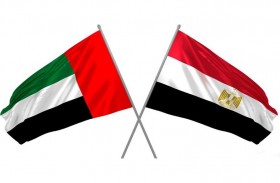 مصر تهنئ الإمارات لانتخابها لعضوية مجلس الأمن