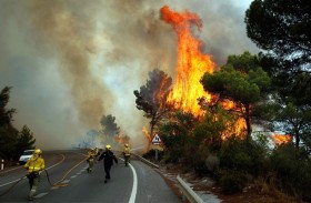 حرائق غابات في كوريا الجنوبية بعد فترة جفاف 