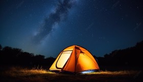 محاصرة سائحين من قبل ذئاب برية