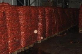 مخدرات بـ7 مليارات في شحنة بصل 