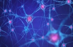 كورونا يمكن أن يحتل خلايا الدماغ ويدمرها