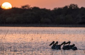محميات السودان الطبيعية.. كنوز تواجه مخاطر مناخية وبشرية