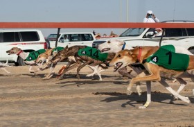 مشاركة كبيرة في انطلاق الجولات التأهيلية لبطولة السلق 2021 
