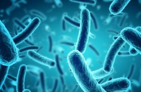 كائنات في أقصى العالم تنذر بجائحة جديدة