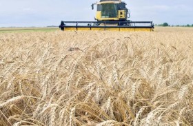 الحبوب والأسمدة.. مناورة بوتن الجديدة أمام عقوبات الغرب