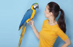 كيف يمكن لرؤية أو سماع الطيور مساعدتك على تحسين مزاجك؟!