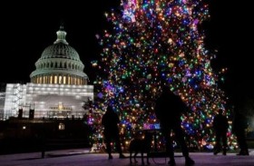 قصة أبعد شجرة عيد ميلاد عن البشرية