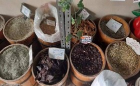 الشيح والقرنفل واللبلابي.. سلاح التونسيين لمواجهة كورونا