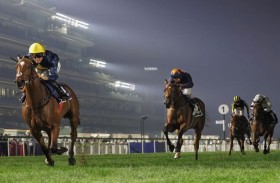 73 خيلا تشارك في أولى أمسيات كرنفال سباقات دبي على مضمار ميدان