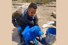 ظهور كلب أزرق والشرطة تلقي القبض على صاحبه