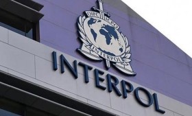 الإنتربول يلاحق شاعرة وابنها تورطا في مصرع شخص