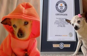 أكبر كلبة في العالم تزيح «البطل» من جينيس